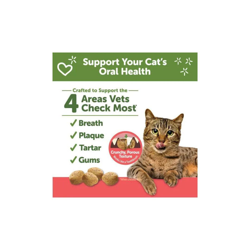 Whimzees Cat Dental Cat Treat Chicken Salmon 4.5 oz
