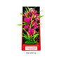 Aquatop Vibrant Passion Plant Pink 10in - Pets Perfect