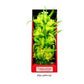 Aquatop Vibrant Passion Plant Yellow 10in - Pets Perfect