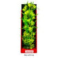 Aquatop Vibrant Passion Plant Yellow, 1ea/16 in - Pets Perfect