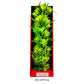Aquatop Vibrant Passion Plant Yellow, 1ea/16 in - Pets Perfect