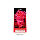 Aquatop Vibrant Garden Plant Pink, 1ea/6 in - Pets Perfect