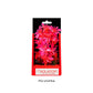 Aquatop Vibrant Garden Plant Pink, 1ea/6 in - Pets Perfect