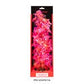Aquatop Vibrant Garden Plant Pink, 1ea/16 in - Pets Perfect