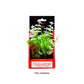 Aquatop Vibrant Wild Plant White 6in - Pets Perfect