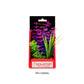 Aquatop Vibrant Wild Plant Purpleberry 6in - Pets Perfect