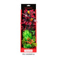 Aquatop Vibrant Wild Plant Mixed Red 16in - Pets Perfect