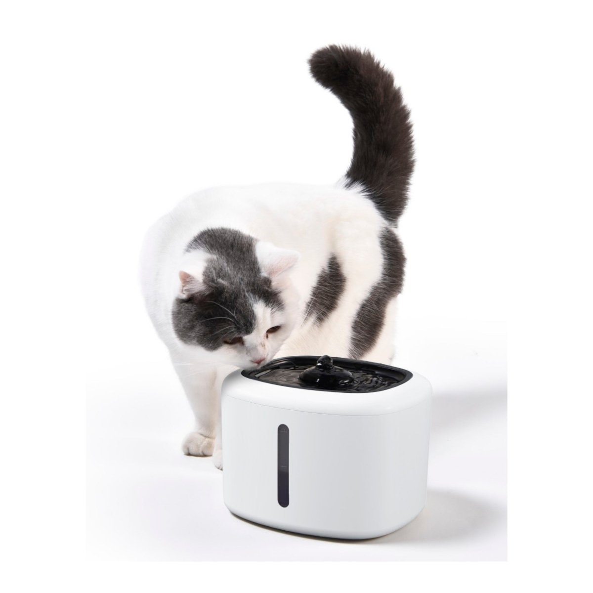Max & Marlow Automatic Water Fountain Black & White, 1ea/84 oz. - Pets Perfect
