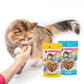 BFF Cat Toodzies Crunchy Chicken & Salmon Treats 2oz. - Pets Perfect