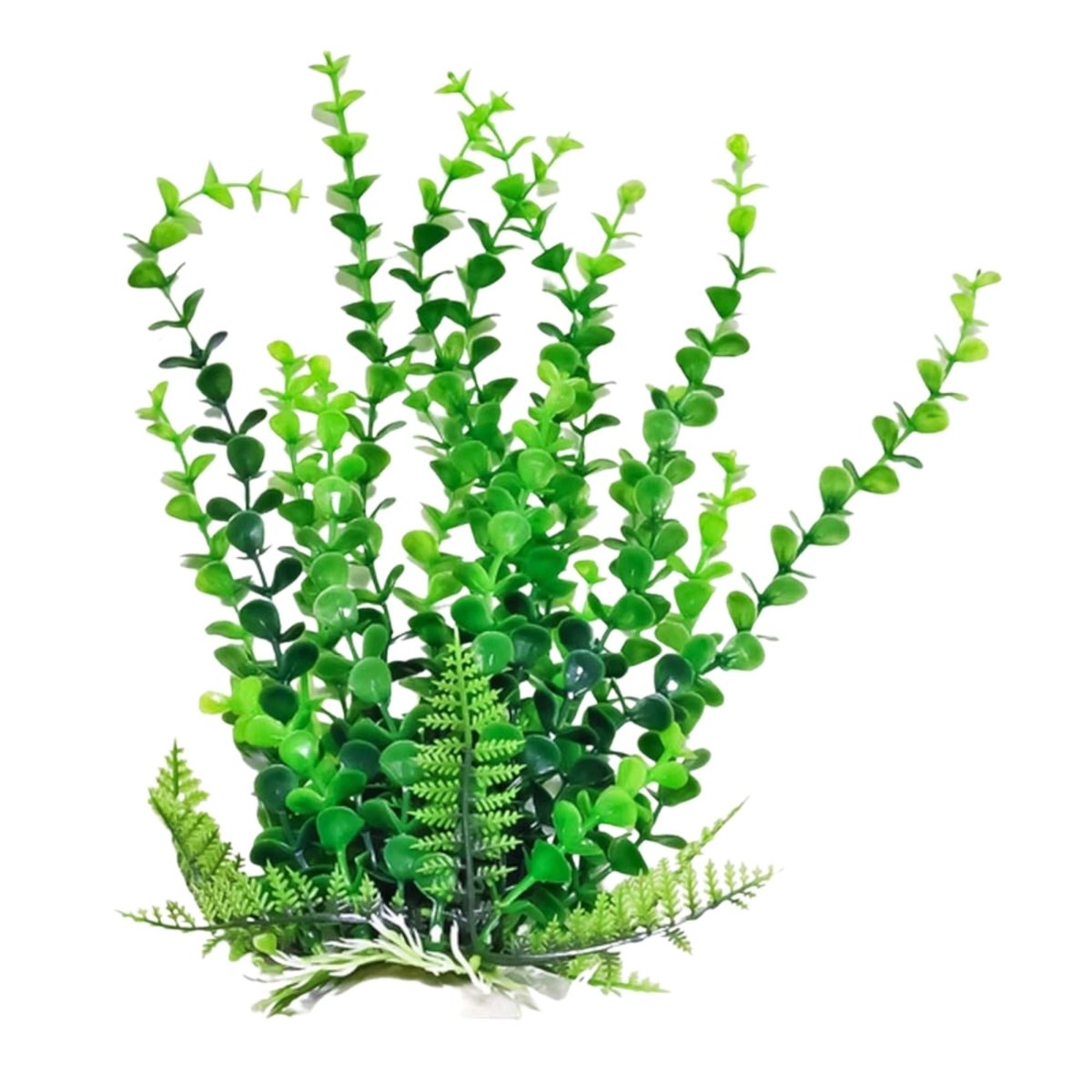 Aquatop Bacopa Aquarium Plant w/Weighted Base Green 9 in - Pets Perfect