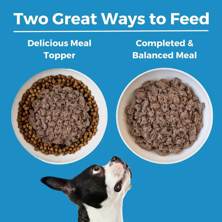 Two feeding bowls, kibble topper and standalone meal, dog looking up