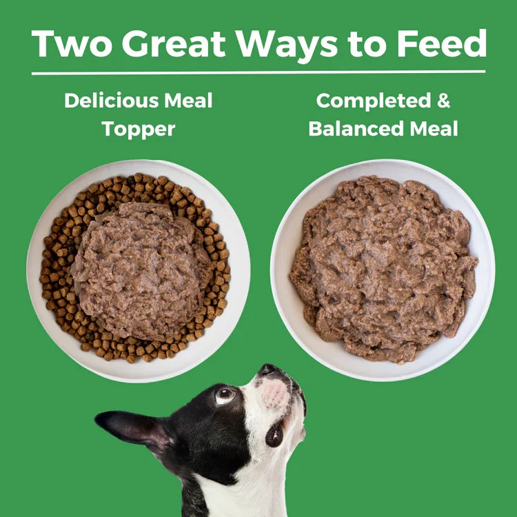 A Boston Terrier looks up at two white bowls of dog food: one with kibble topped with wet food, the other with only wet food.