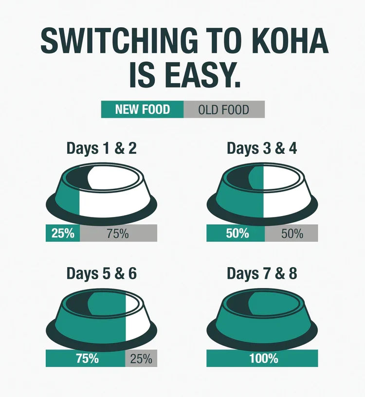Koha Dog Limited Ingredient Grain-Free 90% Turkey, 13 oz each, Case of 12