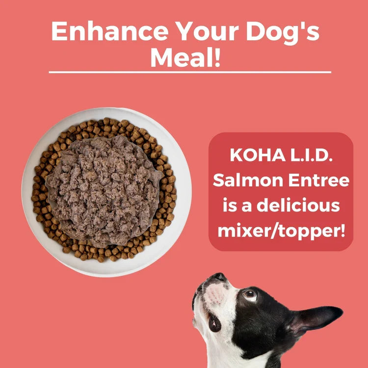 Koha Dog Limited Ingredient Grain-Free 90% Salmon, 13 oz each, Case of 12