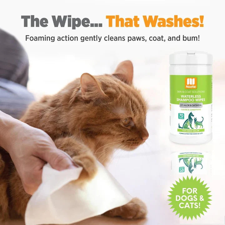 Nootie Waterless Grooming Wipes Cucumber Melon 70 ct, view 4