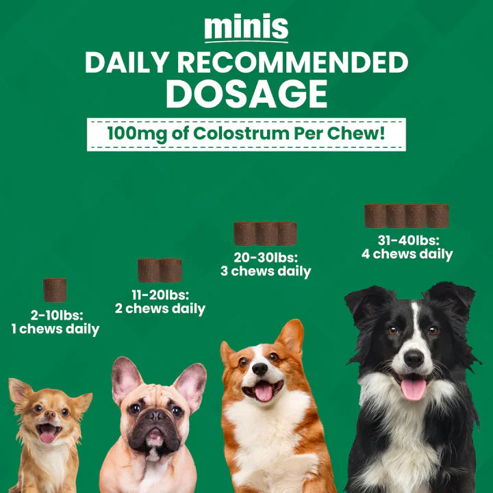 Nootie Dog Progility Aller-Immune Mini 60 ct, view 4