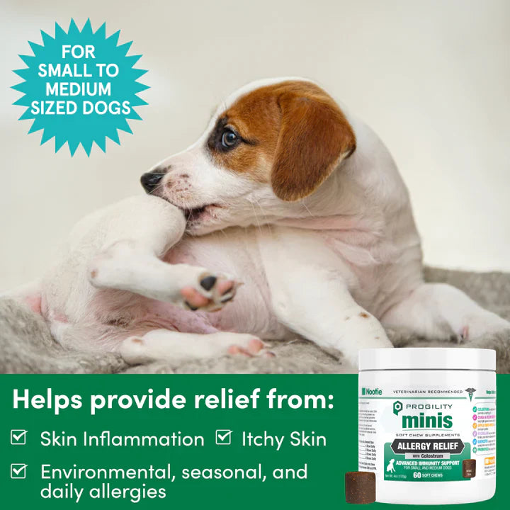 Nootie Dog Progility Aller-Immune Mini 60 ct, view 2
