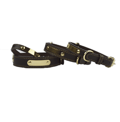 Leather Dog Collar - Personalized with Custom Engraving - Pets Perfect