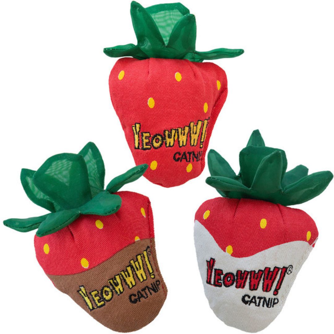 Yeowww Strawberry Catnip Cat Toy Multi, 3 pk - Pets Perfect
