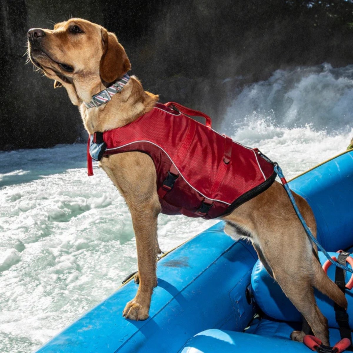 Kurgo Dog Life Jacket Red Medium - Pets Perfect