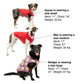 Kurgo Dog Jacket Loft Blue/Orange XSmall - Pets Perfect