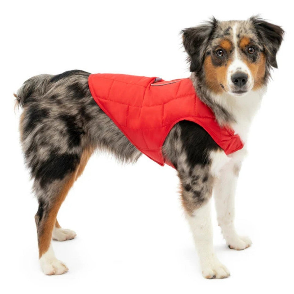 Kurgo Loft Dog Jacket - Red, Medium, view 2