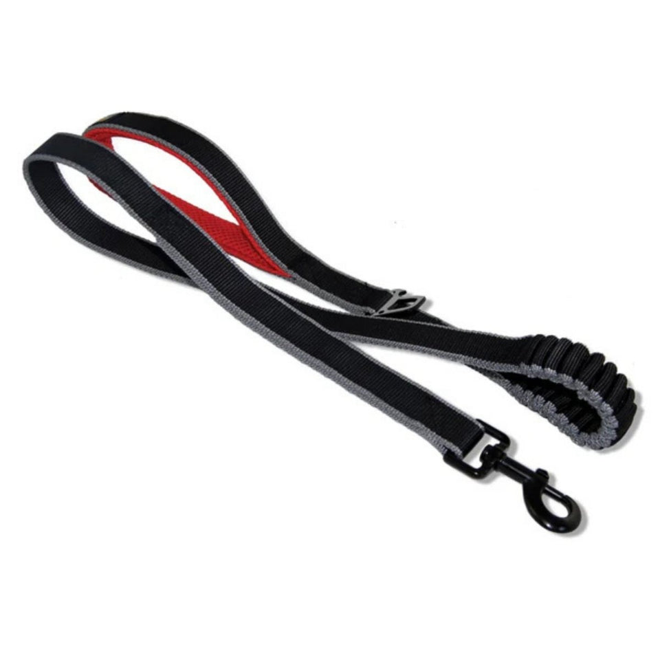 Kurgo Dog Springback Dog Leash Black 48 in