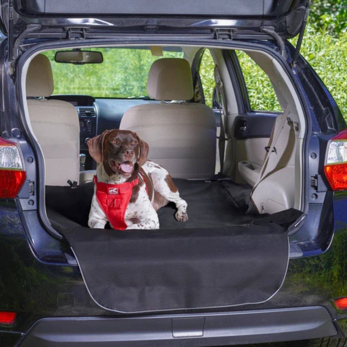 Kurgo Dog Cargo Cape Charcoal - Pets Perfect
