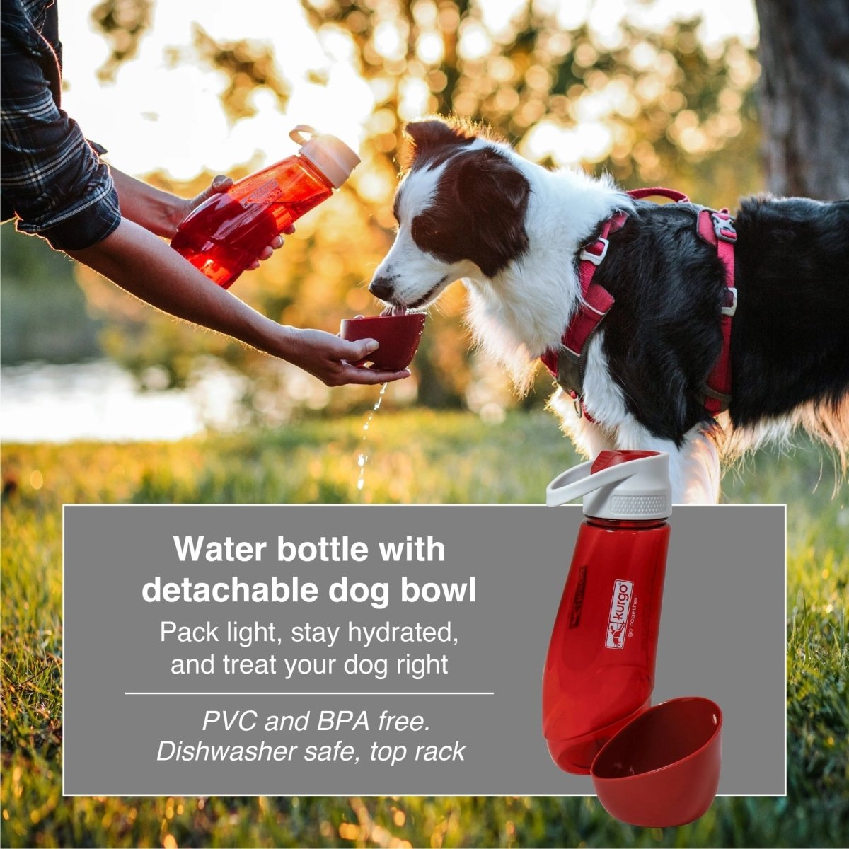 Kurgo Dog Gourd H2O Bottle & Bowl Blue - Pets Perfect