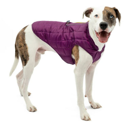 Kurgo Dog Loft Jacket Violet XSmall - Pets Perfect