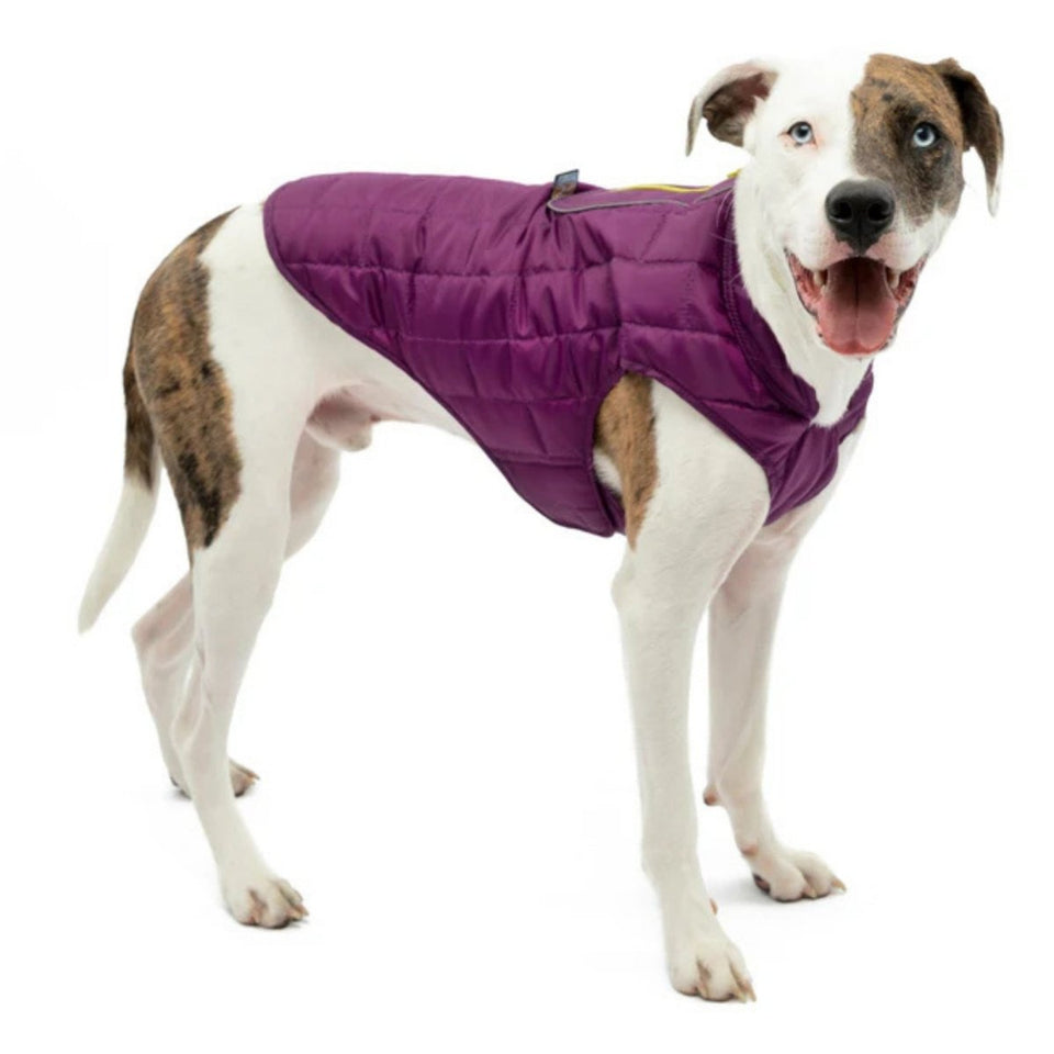 Kurgo Loft Dog Jacket - Violet, X-Small, view 2
