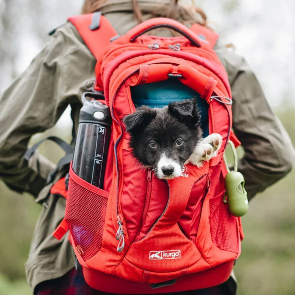 Kurgo Dog g-Train Backpack Red, view 5