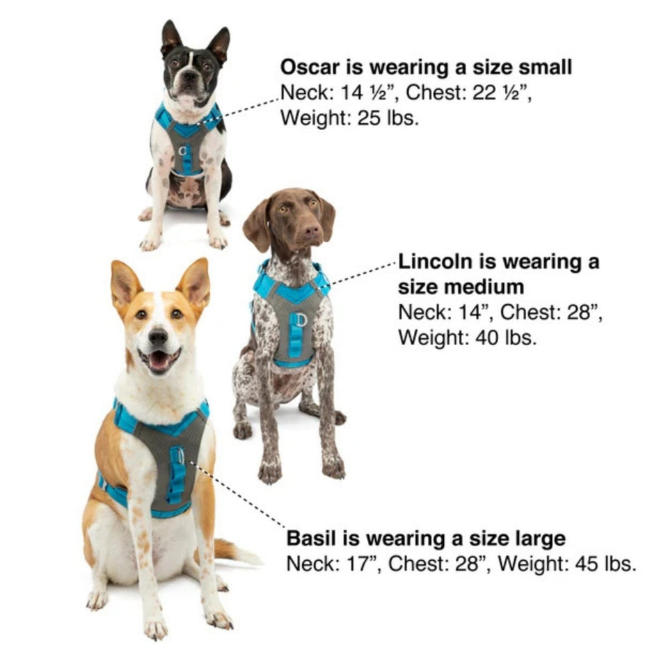 Kurgo Dog Journey Air Dog Harness Red Small, view 3
