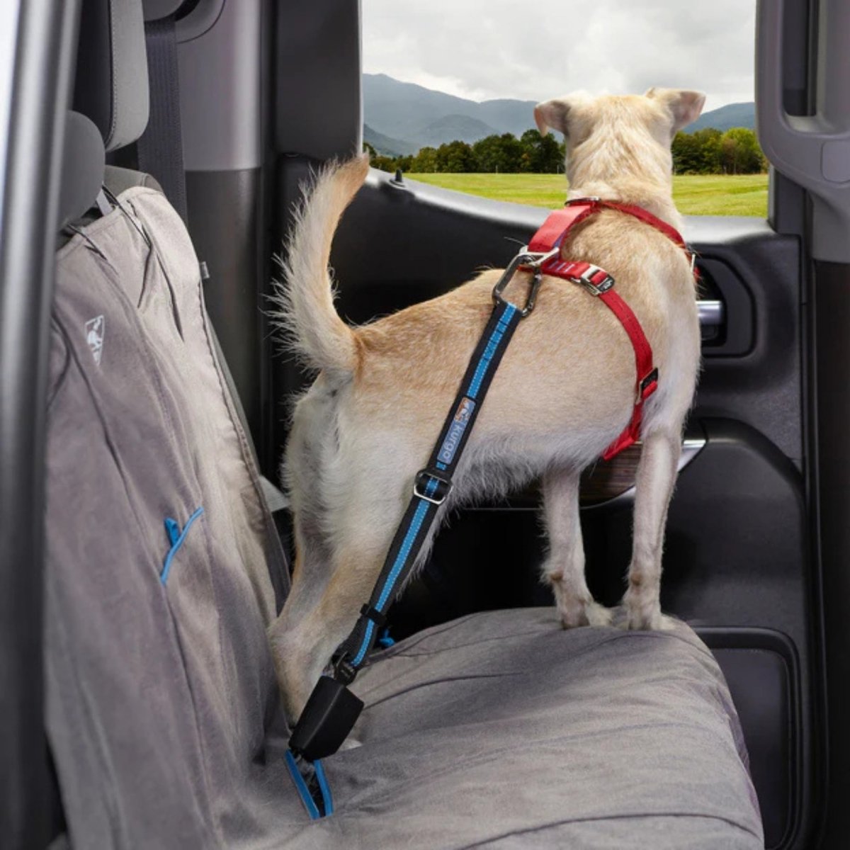 Kurgo Dog Seat Belt Tether Blue - Pets Perfect