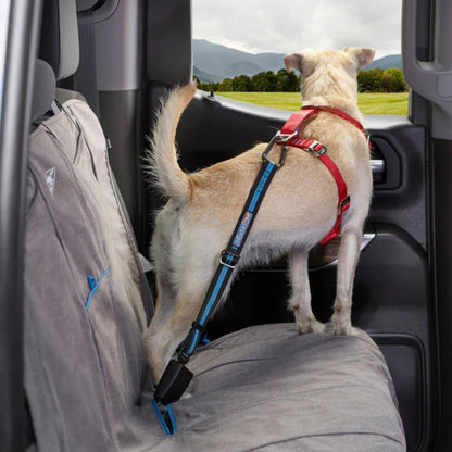 Kurgo Dog Seat Belt Tether Blue - Pets Perfect
