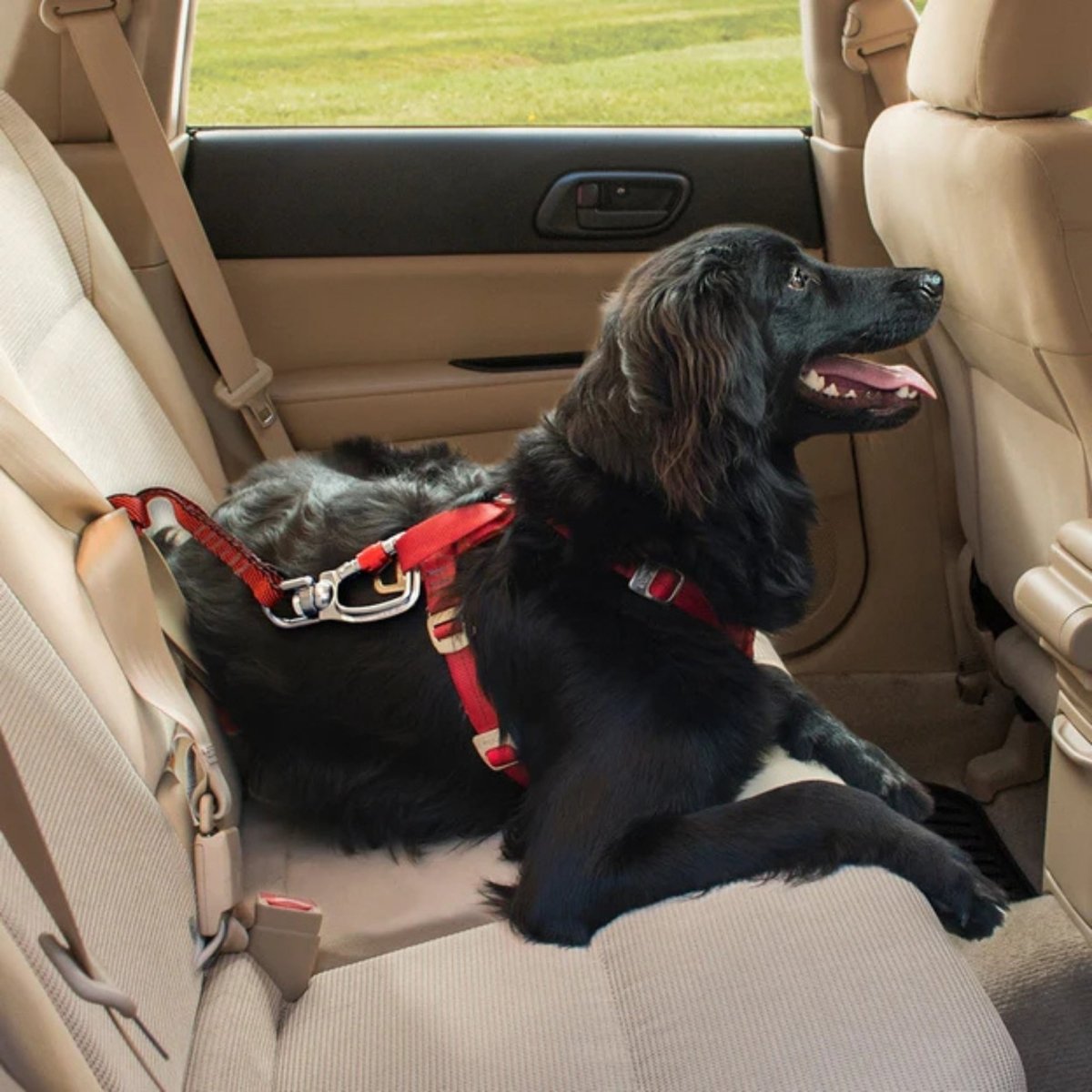 Kurgo Dog Seat Belt Swivel Teather - Pets Perfect