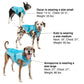 !KURGO D NRTH CNTRY COAT BLU XS - Pets Perfect