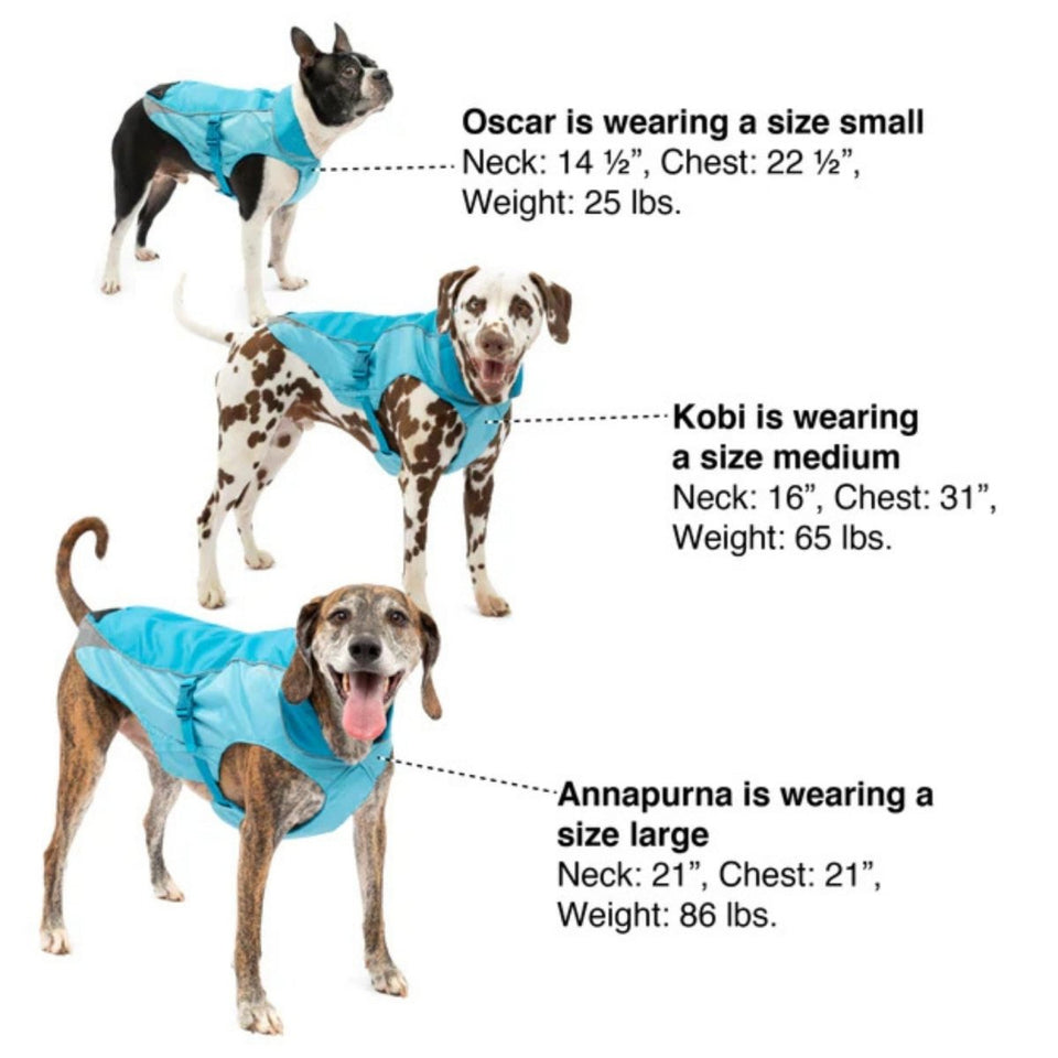 Kurgo North Country Dog Coat - Blue, Medium, view 3
