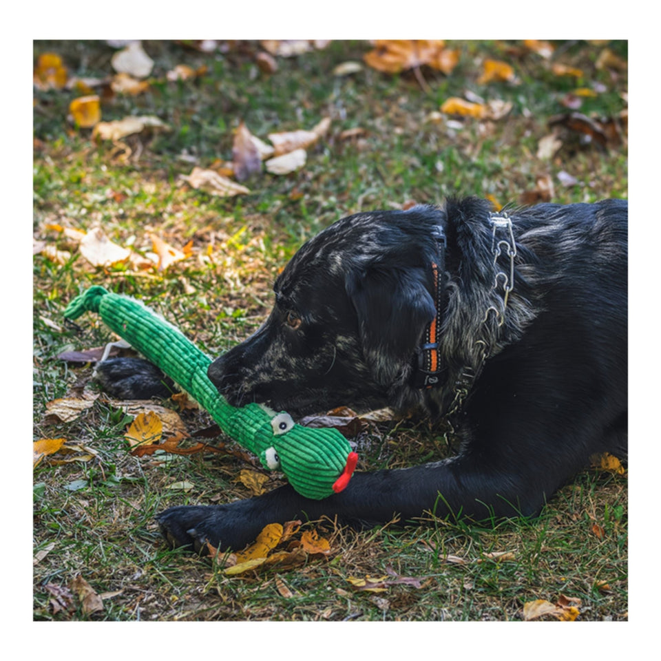 Hugglehounds Dog Knottie Sir Squeaks - A - Lot Snake Small