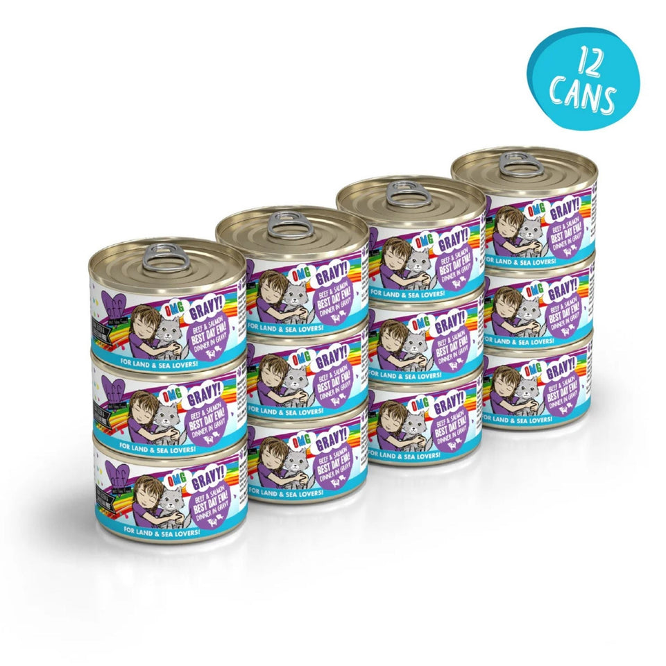BFF Cat Omg Gravy Best Day Eva Beef & Salmon 2.8oz. - (Case of 12)