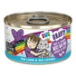 BFF Cat Omg Gravy Best Day Eva Beef & Salmon 2.8oz. - (Case of 12) - Pets Perfect