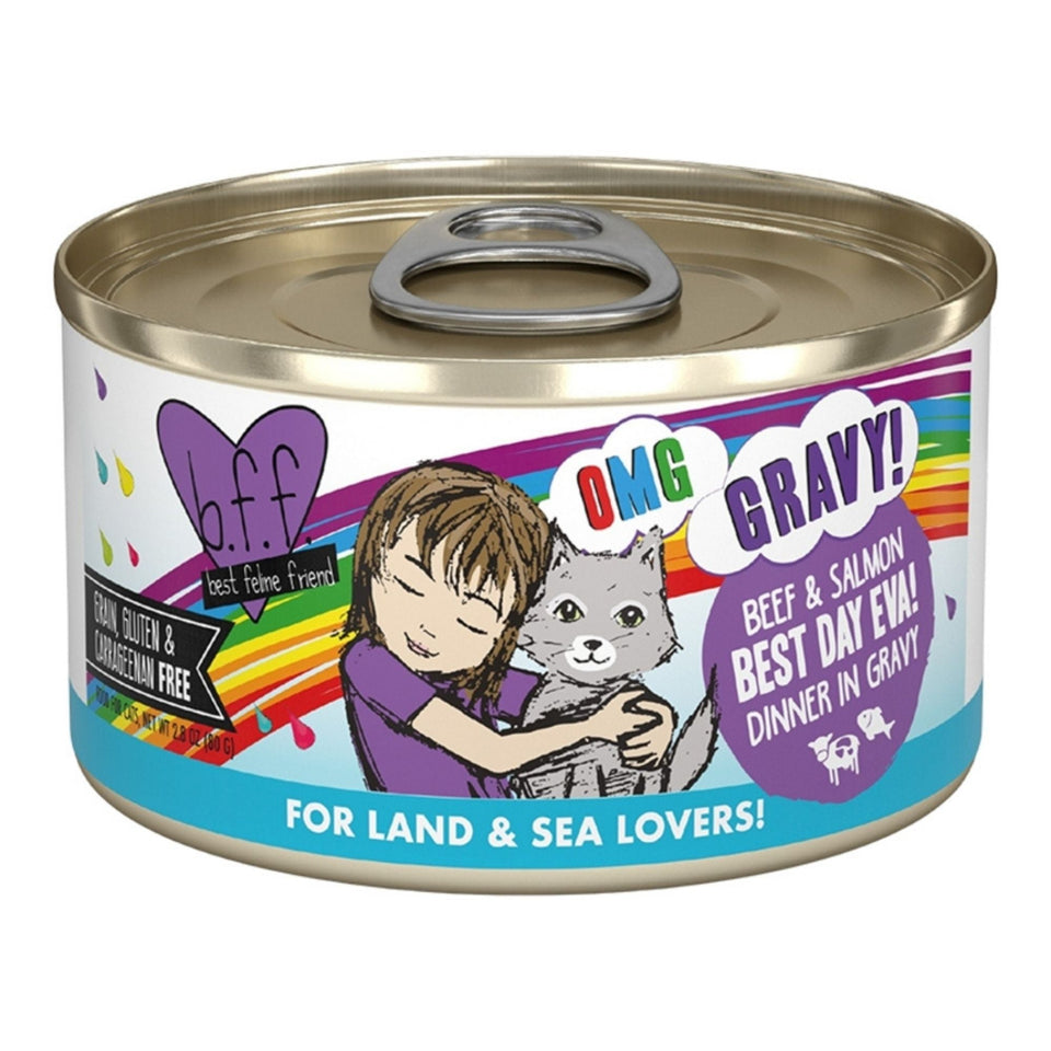 BFF Cat Omg Gravy Best Day Eva Beef & Salmon 2.8oz. - (Case of 12)