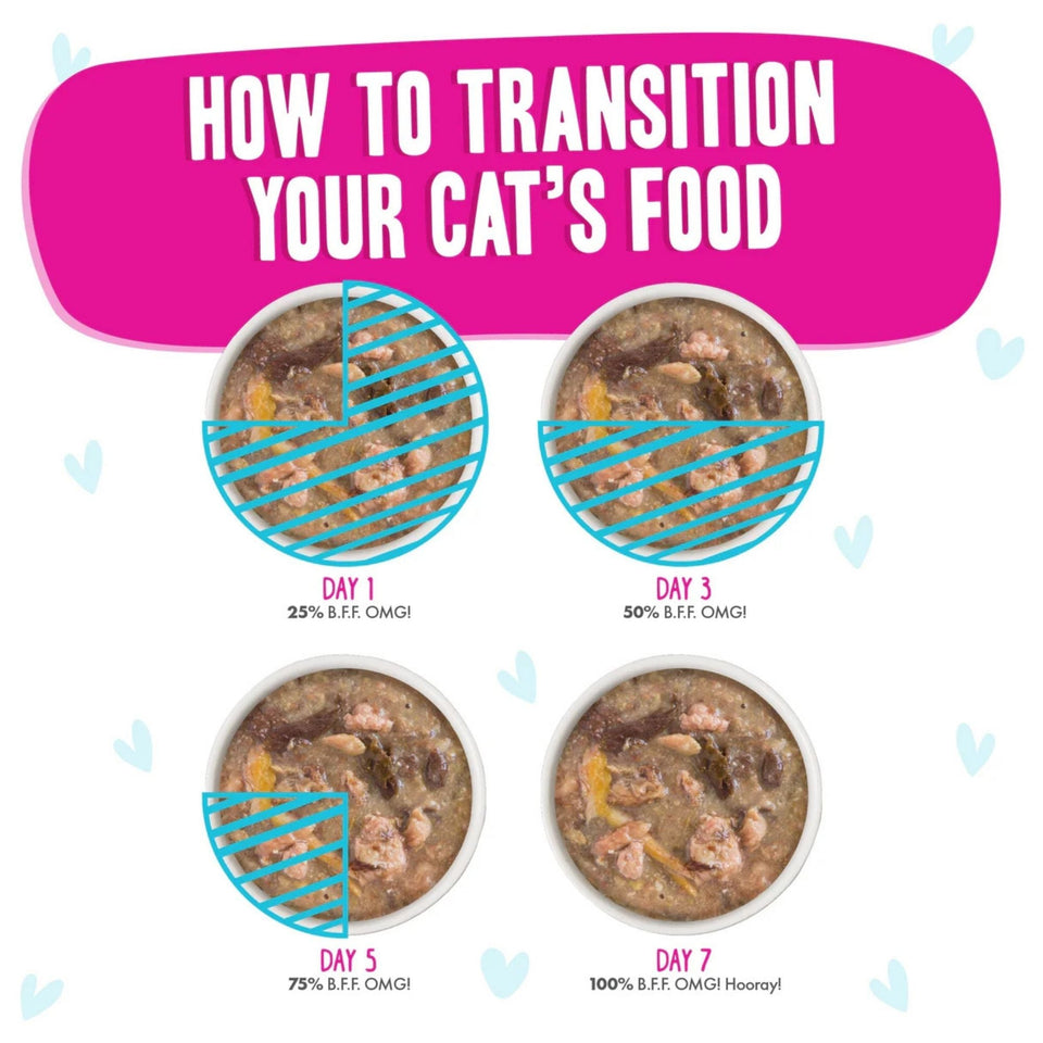 BFF Cat Omg Gravy Lots Luck Duck & Tuna 2.8oz. - (Case of 12)
