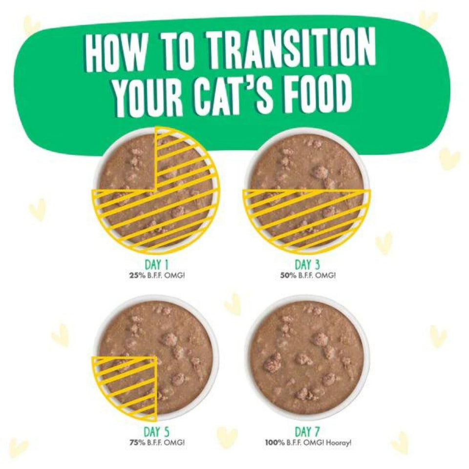 BFF Cat OMG Chicken and Turkey Text Me Dinner in Gravy 2.8 oz. Pouch 12 ct