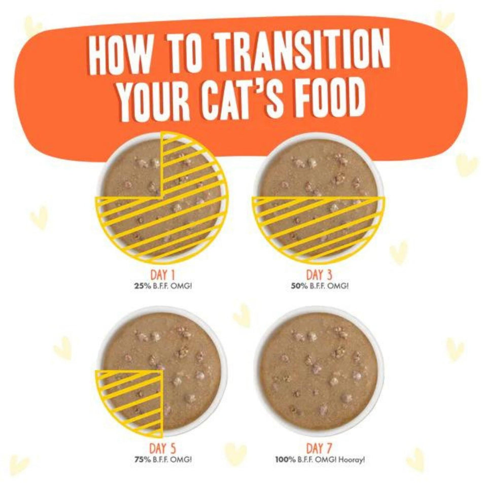 BFF Cat OMG Chicken and Salmon Shine Bright Chicken and Salmon Dinner in Gravy 2.8 oz. Pouch 12 ct