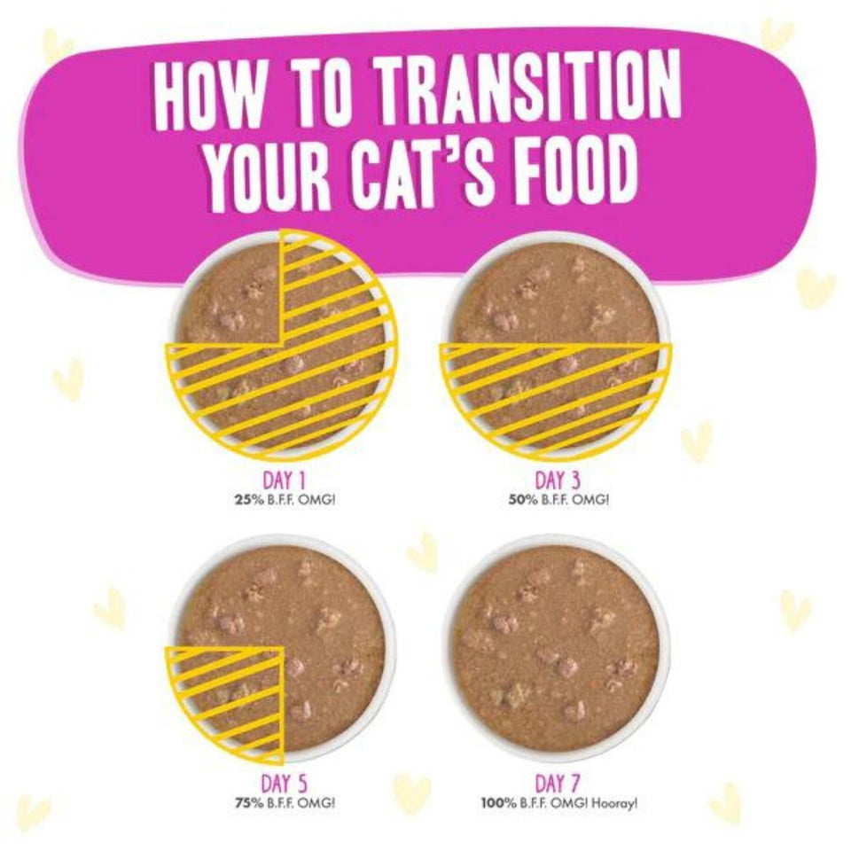 Bff Cat OMG Dream Team Chicken 5.5 oz. 8 ct