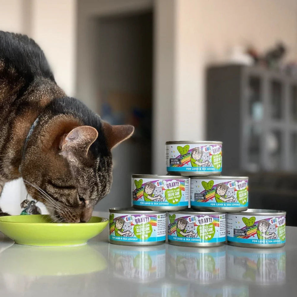 BFF Cat Omg Gravy Qt Patootie Chicken & Turkey 5.5oz. - (Case of 8)