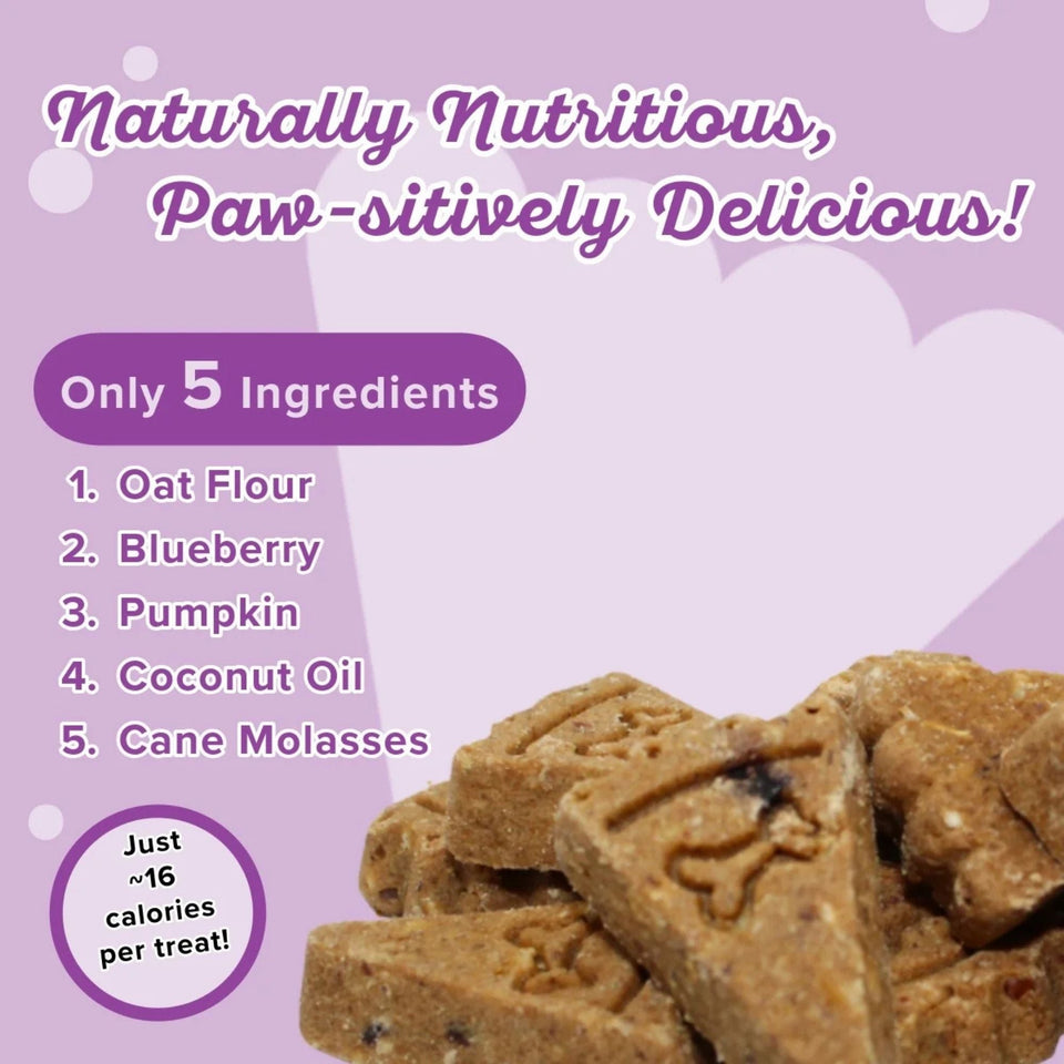 Lazy Dog Molasses Crisped Blueberry Oat (Wheat, Corn & Soy Free) Dog Treat 14oz.