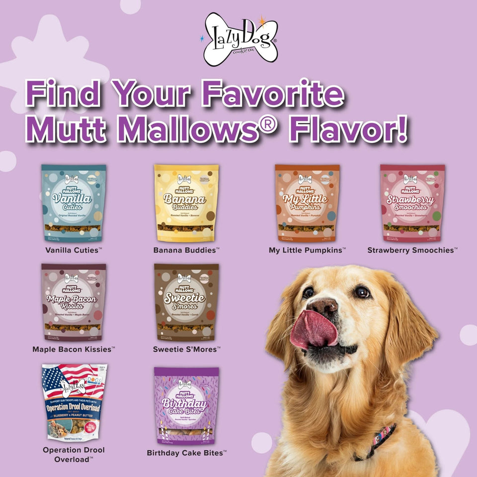 Lazy Dog Cookie Birthday Cake Bites 5oz. (Case of 3)