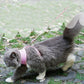 Ultimate Grip Cat Harness - Pets Perfect